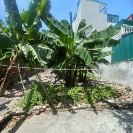 SIÊU HIẾM ĐÂT ĐẦU TƯ PHỐ Nguyễn Văn Linh 96 m2 mặt tiền 8.35 X 9.5 Tỷ Long Biên Hà Nội. SIÊU HIẾM ĐÂT ĐẦU TƯ PHỐ Nguyễn Văn Linh 96 m2 mặt tiền 8.35 X 9.5 Tỷ Long Biên Hà Nội.