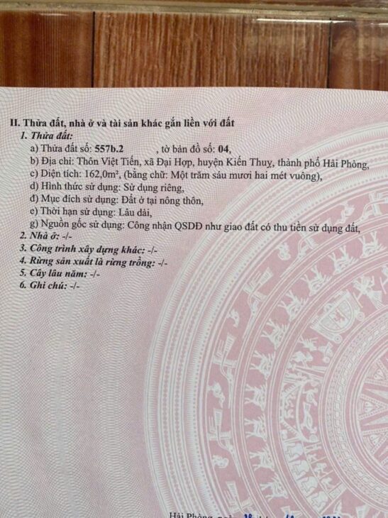Đất trung tâm Việt Tiến – 162m², đường 9m mới làm, giá chỉ 14tr/m² – lô hiếm đầu tư – ZALO 0567 222