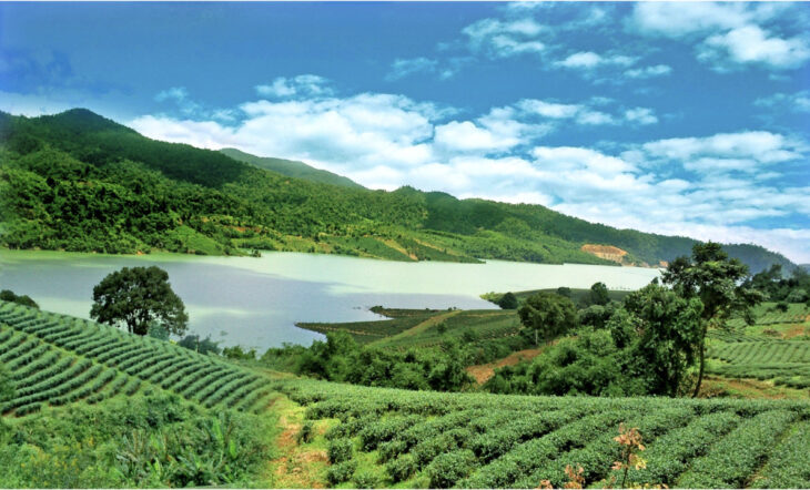 Cần bán gấp 2 lô đất ngộp bank tại khu Sun Valley Farm Bảo Lộc