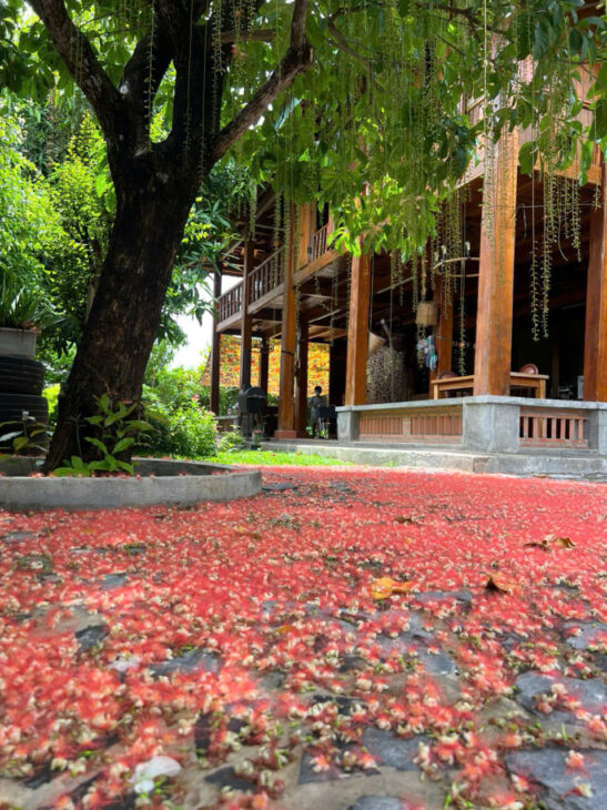 Bán nhanh 227m2 sát MT Nguyễn văn Tạo , hẻm xe tải cách MT 20m . giá đầu tư