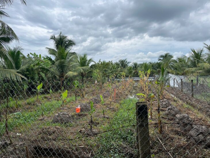 ĐẤT ĐẸP – GIÁ TỐT – CHÍNH CHỦ CẦN BÁN Tại Song Bình – Chợ Gạo – Tiền Giang