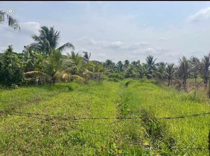 ĐẤT ĐẸP – GIÁ TỐT – CHÍNH CHỦ CẦN BÁN Tại Song Bình – Chợ Gạo – Tiền Giang