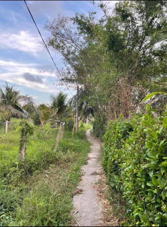 ĐẤT ĐẸP – GIÁ TỐT – CHÍNH CHỦ CẦN BÁN Tại Song Bình – Chợ Gạo – Tiền Giang