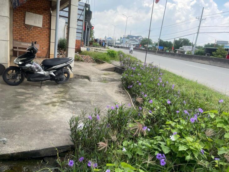 Cần Bán 3 Căn Nhà Chính Chủ – 229m2 Chung Sổ Đỏ – Mặt Tiền QL 22 Gia Bình, Trảng Bàng, Tây Ninh