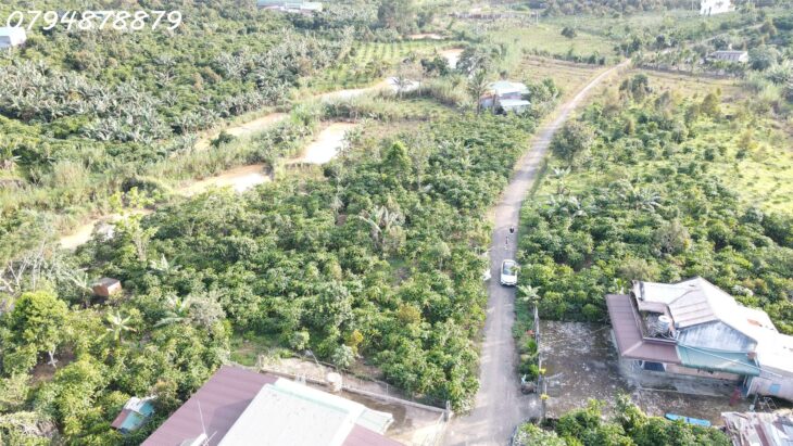 🌳 CẦN BÁN ĐẤT LỘC ĐỨC