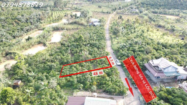 CẦN BÁN ĐẤT LỘC ĐỨC – BẢO LỘC, LÂM ĐỒNG