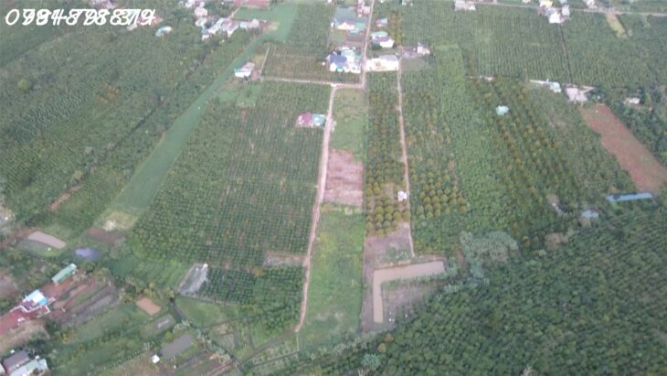 ???? BÁN ĐẤT TÂN CHÂU – VỊ TRÍ ĐẸP, GẦN QL20, TIỆN ÍCH ĐẦY ĐỦ