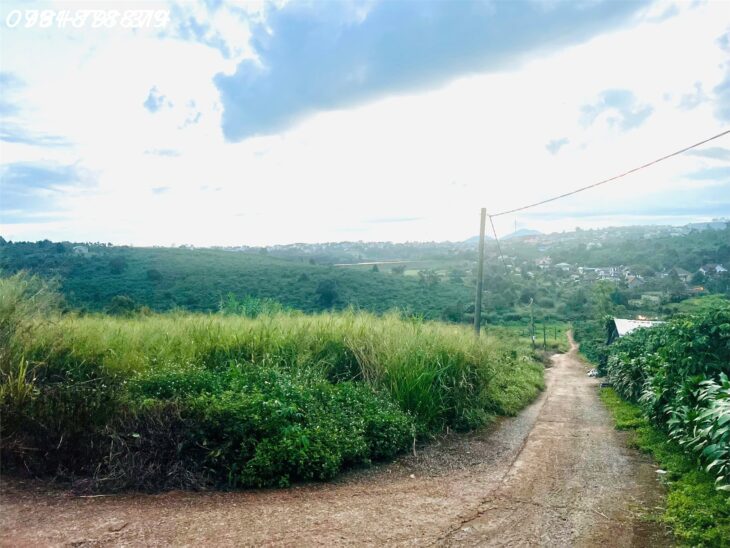 ???? BÁN ĐẤT TÂN CHÂU – VỊ TRÍ ĐẸP, GẦN QL20, TIỆN ÍCH ĐẦY ĐỦ