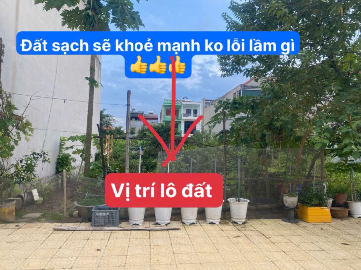 80m2 Thanh Châu Phủ Lý gần trường cấp 3 Phủ Lý B
