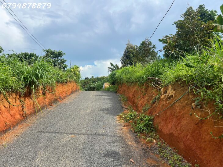 Vị trí vàng: Thuộc xã Lộc Đức, TP. Bảo Lộc – Lâm Đồng