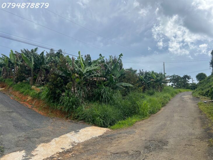 Vị trí vàng: Thuộc xã Lộc Đức, TP. Bảo Lộc – Lâm Đồng