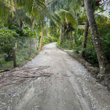 ĐẤT ĐẸP – GIÁ TỐT – CHÍNH CHỦ CẦN BÁN Tại ấp Vĩnh Phú, xã Vĩnh Kim, Châu Thành, Tiền Giang ĐẤT ĐẸP – GIÁ TỐT – CHÍNH CHỦ CẦN BÁN Tại ấp Vĩnh Phú, xã Vĩnh Kim, Châu Thành, Tiền Giang