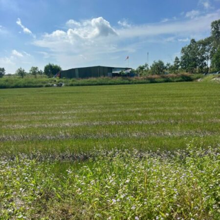 ĐẤT ĐẸP – GIÁ TỐT – Bán GẤP Lô Đất Tiềm Năng Tại Xã Thắng Hải Hàm Tân Bình Thuận(cũ) ĐẤT ĐẸP – GIÁ TỐT – Bán GẤP Lô Đất Tiềm Năng Tại Xã Thắng Hải Hàm Tân Bình Thuận(cũ)