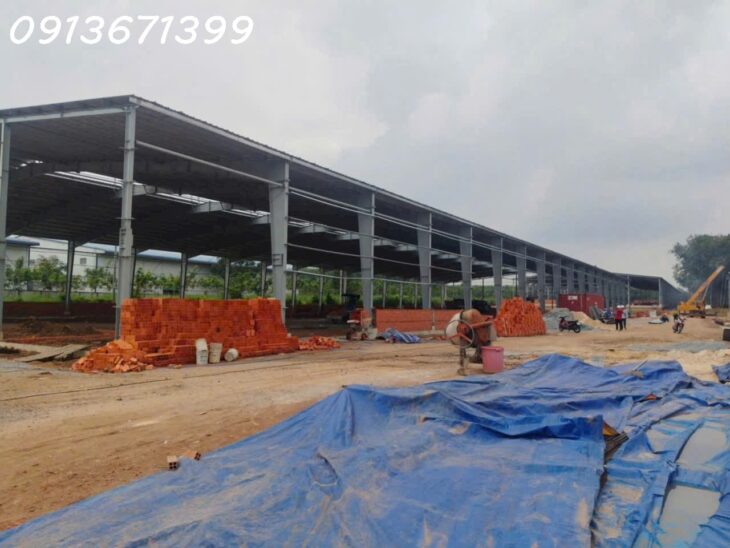 Cho Thuê Nhà Xưởng Bàu Bàng Bình Dương – 10.800m², PCCC Tự Động, Giá 2.5 USD/m²