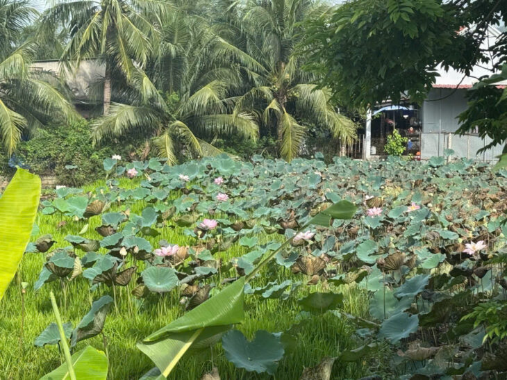 BÁN NHÀ HẺM ĐẶNG TẤT – GẦN BIỂN, 217M² – GIÁ CHỈ 12 ty 00 mọi thông tin liên hệ e