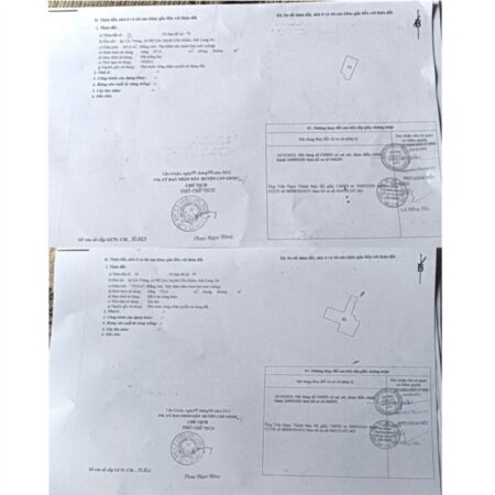 Chính Chủ CẦN BÁN 2 LÔ ĐẤT Vị trí Đẹp Xã Mỹ Lộc, Huyện Cần Giuộc, Long An
