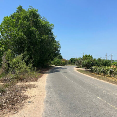 Bán 20m đất siêu ngộp mặt tiền Nguyễn Thông – Tân Bình – LaGi 180tr/m ngang Bán 20m đất siêu ngộp mặt tiền Nguyễn Thông – Tân Bình – LaGi 180tr/m ngang