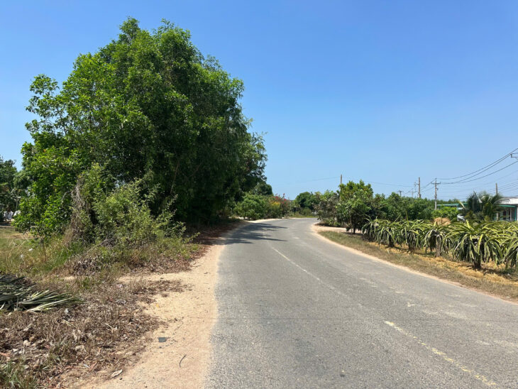 Bán 20m đất siêu ngộp mặt tiền Nguyễn Thông – Tân Bình – LaGi 180tr/m ngang