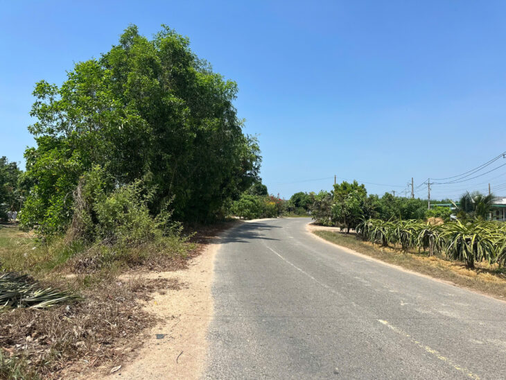 Bán 20m đất siêu ngộp mặt tiền Nguyễn Thông – Tân Bình – LaGi 180tr/m ngang