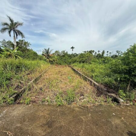 Đất Hòa Nghĩa giá hiếm chỉ 1,x tỷ – gần đường lớn, tiềm năng sinh lời cực cao! ZALO 0567 222 555 Đất Hòa Nghĩa giá hiếm chỉ 1,x tỷ – gần đường lớn, tiềm năng sinh lời cực cao! ZALO 0567 222 555