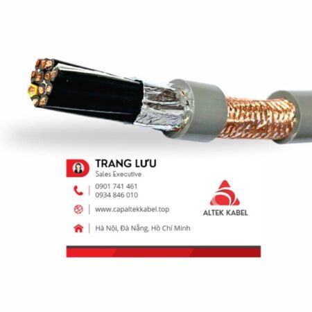 Trang Avatar - TPHCM Today