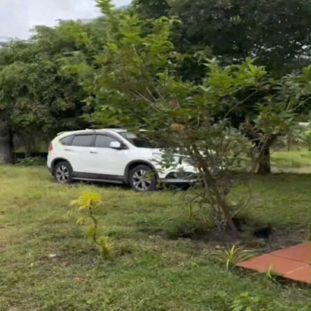 1Ha Đất SHR HXH – Trung Lập Hạ Củ Chi SS