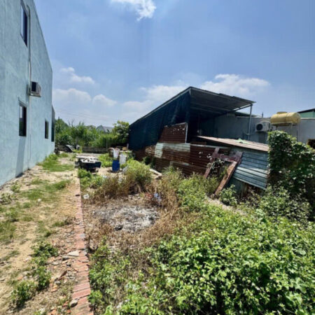 Đất Vuông SHR 100m2 – Huỳnh Thị Mài Hóc Môn S