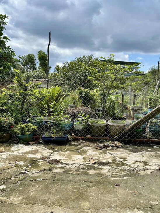 L1572 ⭐️ 3 lô đất Xuân Thới Sơn 8, SHR, HXH, 7x17m, 2.x tỷ