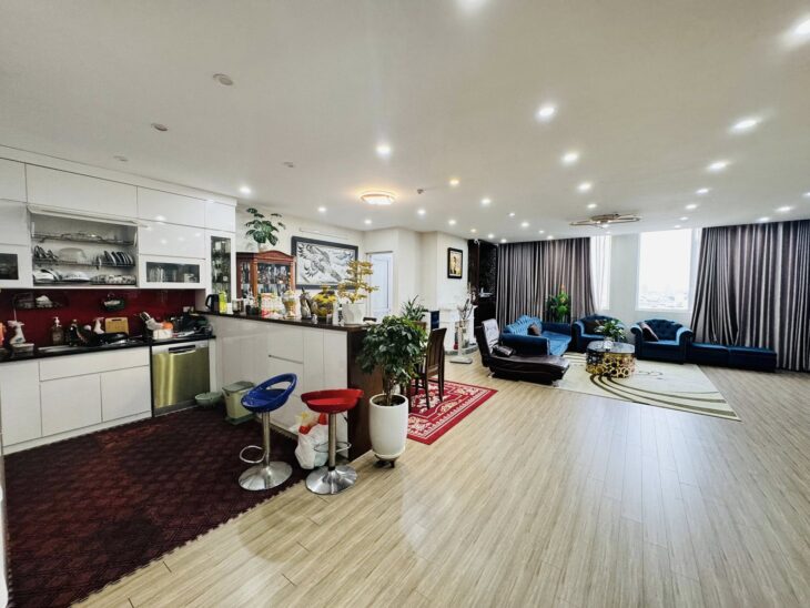 🔅 CĂN HỘ CHUNG CƯ CAO CẤP HẠ ĐÌNH 206M2 4PN+4WC, SĐCC, CHỈ 13.3 TỶ 🔅