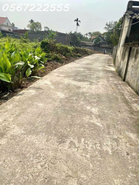 ĐẤT RẺ DƯỚI 1 TỶ – VĂN HÒA HỮU BẰNG, KIẾN THỤY – 95,5M² ĐƯỜNG Ô TÔ ZALO 0567 222 555