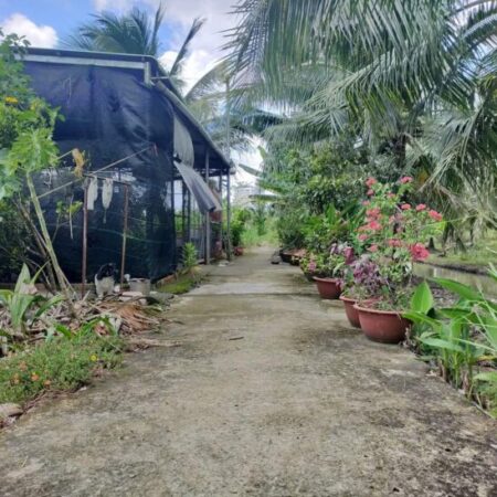 Đất nền vuông vức 285m2 tại Phú Tân, TP Bến Tre – giá rẻ bất ngờ! Đất nền vuông vức 285m2 tại Phú Tân, TP Bến Tre – giá rẻ bất ngờ!