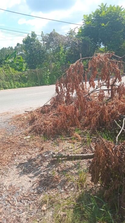 ĐẤT ĐẸP – GIÁ TỐT – Vị Trí Đắc Địa Tại KHU 8 – VÂN PHÚ – TP VIỆT TRÌ