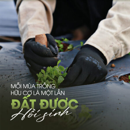 Sản phẩm tự nhiên, cho cuộc sống an yên – G.Organic