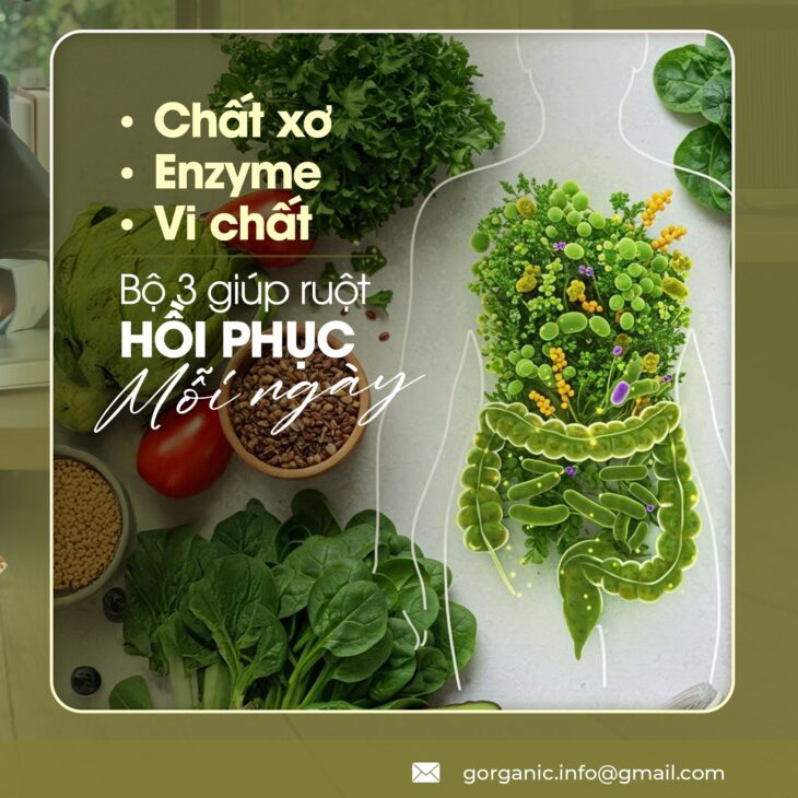 Sản phẩm tự nhiên, cho cuộc sống an yên – G.Organic
