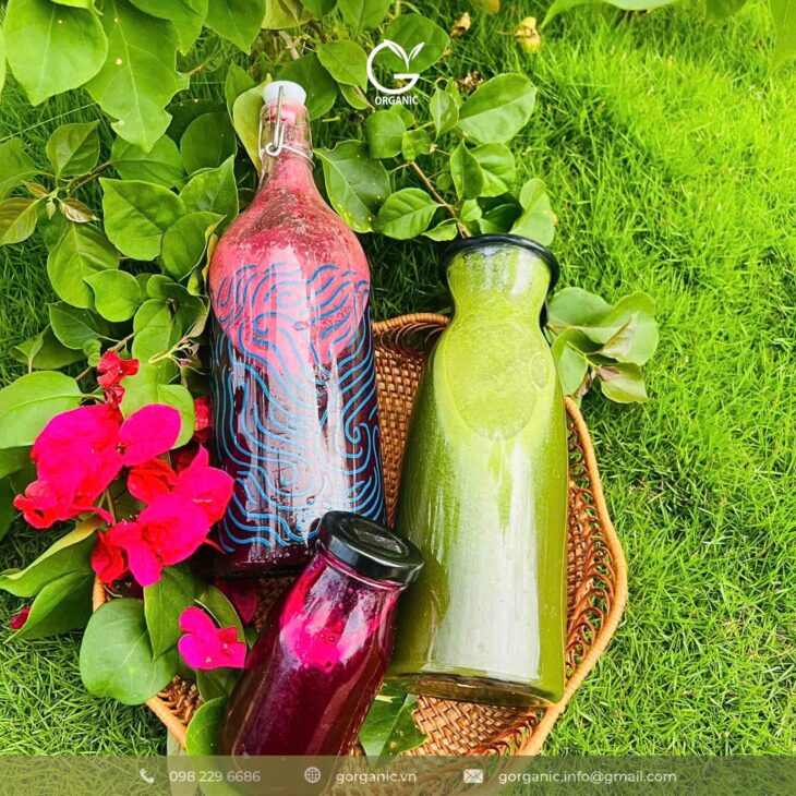 Sản phẩm tự nhiên, cho cuộc sống an yên – G.Organic