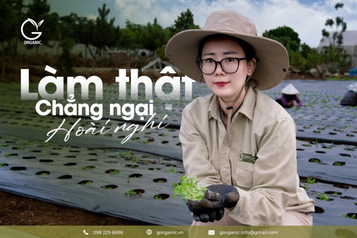 Sản phẩm tự nhiên, cho cuộc sống an yên – G.Organic