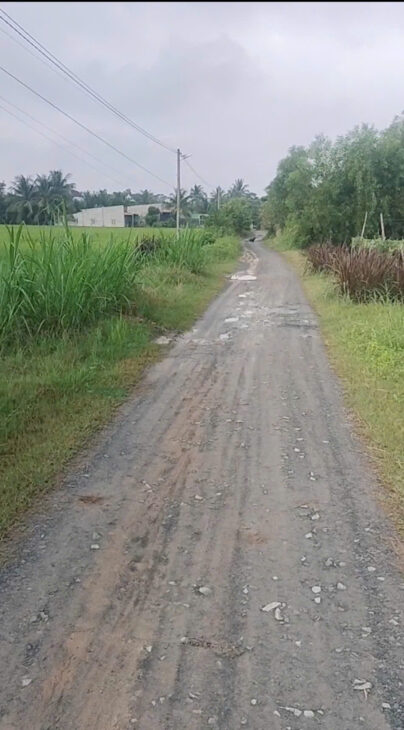 CHỦ CẦN BÁN 🌿LÔ ĐẤT ĐẸP – Vị trí ĐẮC ĐỊA TẠI : Mỹ Thạnh Đông – Đức Huệ – Long An( cũ) CHỦ CẦN BÁN 🌿LÔ ĐẤT ĐẸP – Vị trí ĐẮC ĐỊA TẠI : Mỹ Thạnh Đông – Đức Huệ – Long An( cũ)