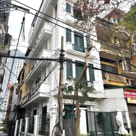 Mặt Phố lô góc ô tô tránh kinh doanh, Huy Du, Lưu Hữu Phước, 55m, 25 Tỷ