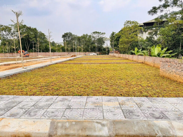 Bán đất thổ cư 100m2 mặt đường 21A, Phú Cát, Quốc Oai, Hà Nội. Sổ đỏ, giá 3 tỷ. LH: 0944090291