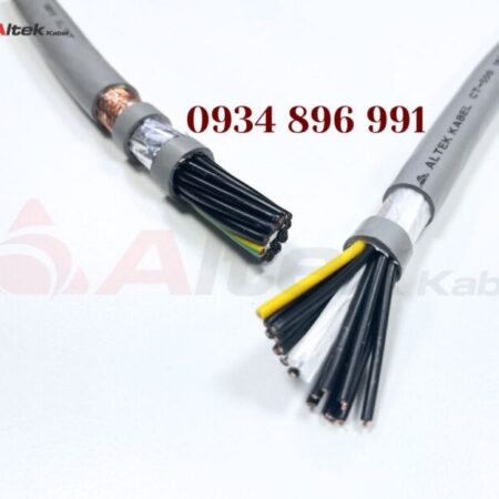 Phuong Altek Kabel Avatar - TPHCM Today