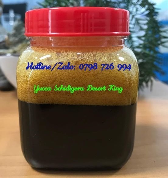 Yucca Nguyên Liệu, Yucca Mỹ, Yucca Bột, Yucca Nước, Yucca Lỏng, Yucca DK, Yucca Desertking