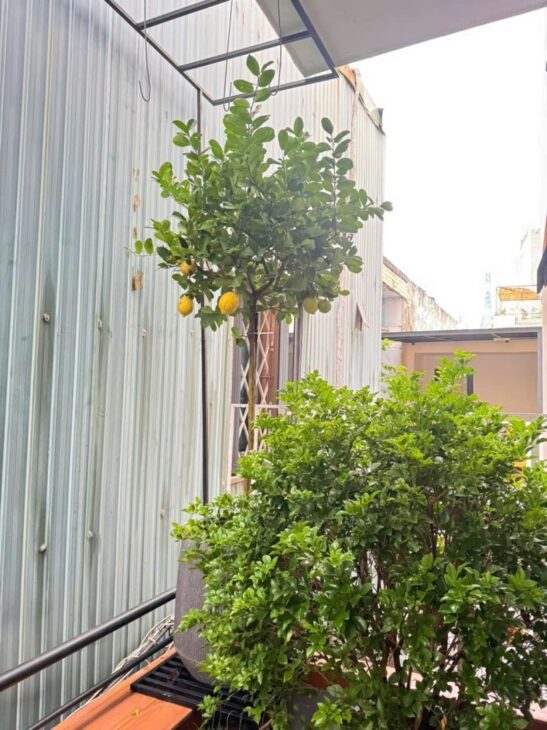 ► Nhà Kiệt gần MT Nguyễn Văn Linh, 48m2, ngang 6m, 2 tầng, 4.x tỷ