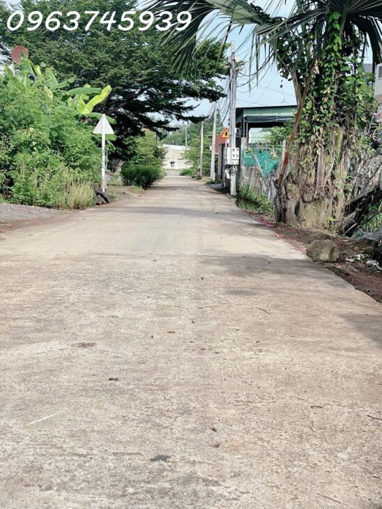 Cơ hội đầu tư: 2065m2 Đất Đồng Nai, MT 37m Khổng Lồ, Giá 2 Tỷ xx, Tiềm năng Lớn