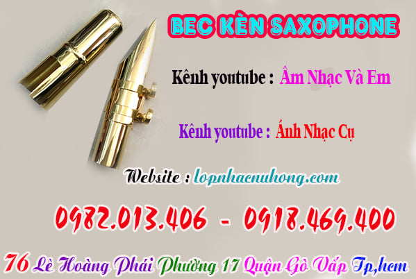 Mua bec ( búp ) kèn saxophone tại gò vấp, Tp.Hồ Chí Minh