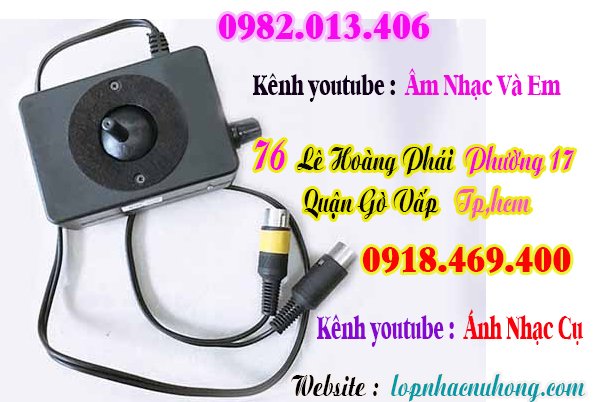 Mua bend đàn organ tại gò vấp, Tp.hcm