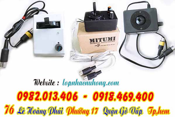 Mua bend đàn organ tại gò vấp, Tp.hcm