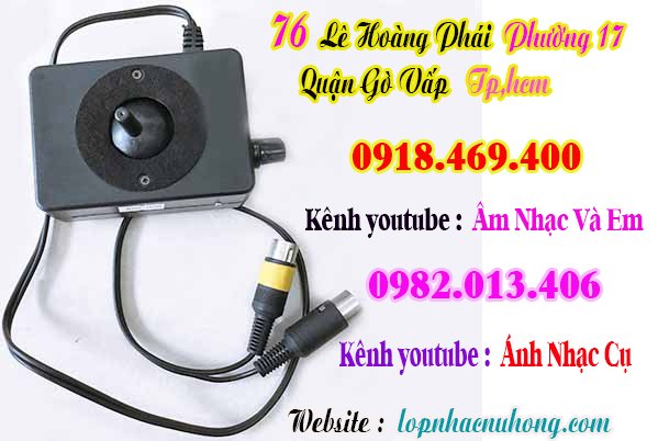 Mua bend đàn organ tại gò vấp, Tp.hcm