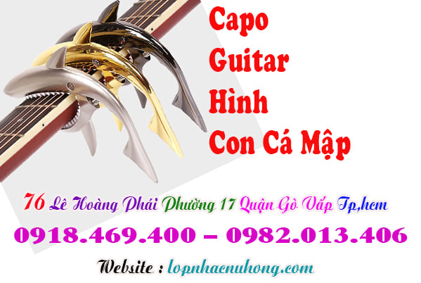 Mua capo đàn guitar tại gò vấp, Tp.hcm