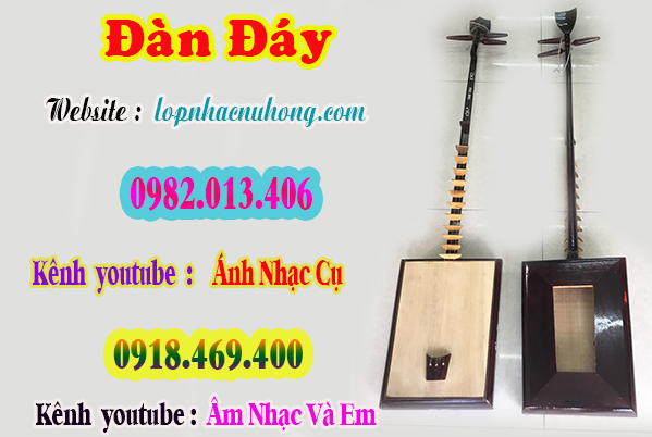 Mua đàn đáy tại gò vấp ( Tp.Hồ Chí Minh )