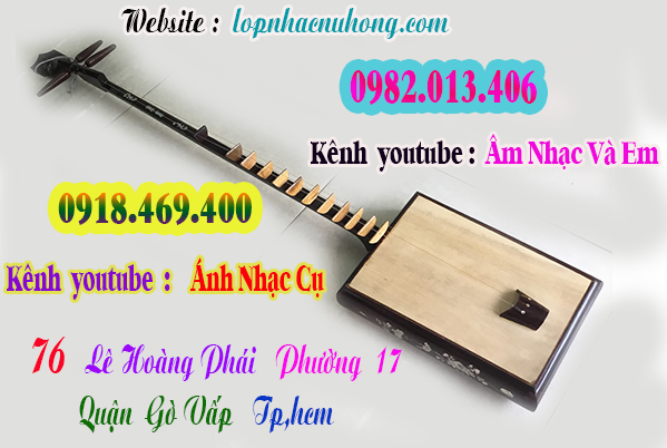 Mua đàn đáy tại gò vấp ( Tp.Hồ Chí Minh )